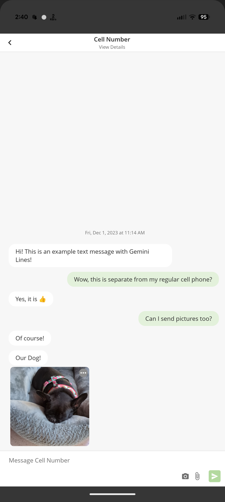 A business text conversation in the ConnectUC mobile app, including picture messaging